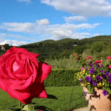 Casa Portagioia Bed & Breakfast Castiglion Fiorentino