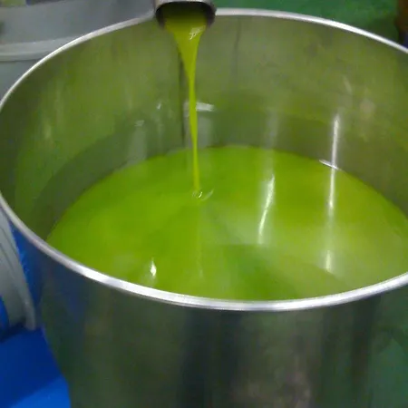 카사 포르타조이아