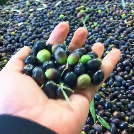 카사 포르타조이아 B&B 4*