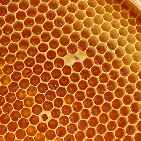 B&B 카사 포르타조이아 4*