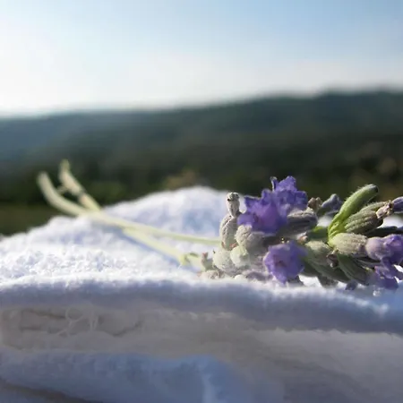 카사 포르타조이아 카스티글리온플로렌티노