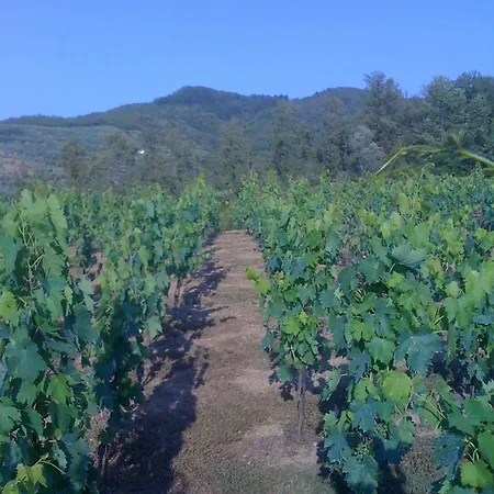 B&B 카사 포르타조이아 카스티글리온플로렌티노