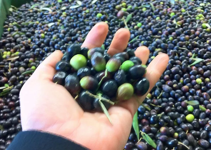 Casa Portagioia Panzió 4*