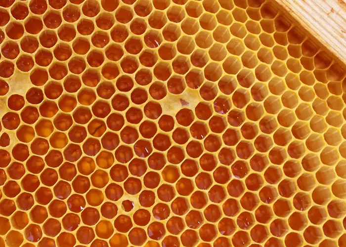 Panzió Casa Portagioia 4*