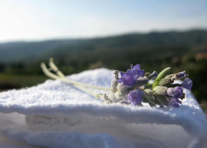 Casa Portagioia Castiglion Fiorentino