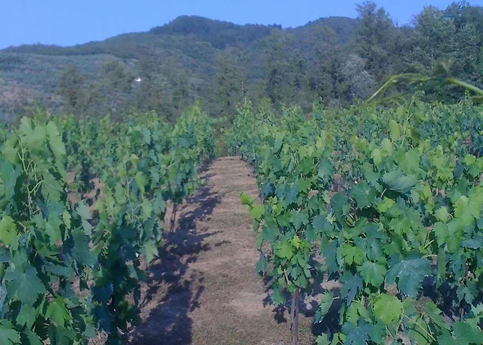 Panzió Casa Portagioia Castiglion Fiorentino