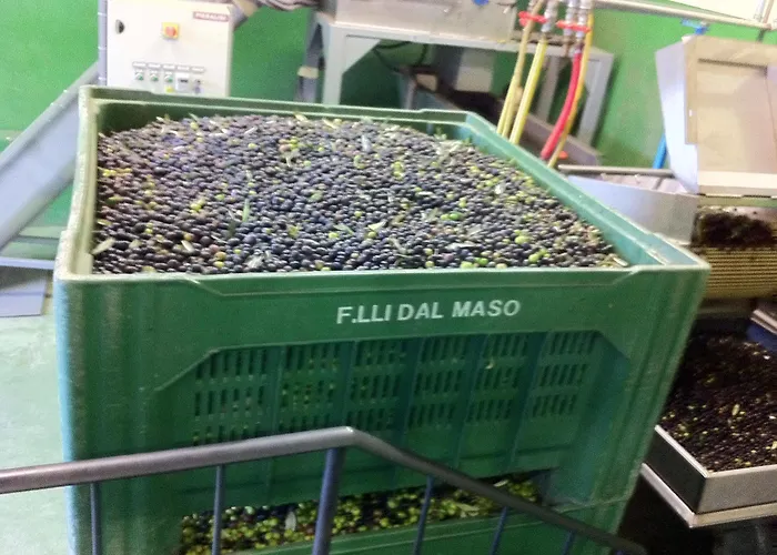 Panzió Casa Portagioia Castiglion Fiorentino